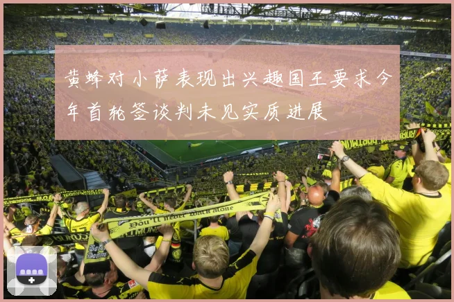 黄蜂对小萨表现出兴趣国王要求今年首轮签谈判未见实质进展