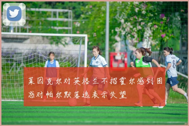 莱因克尔对英格兰不招霍尔感到困惑对帕尔默落选表示失望